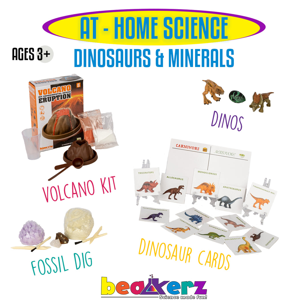 Dinosaurs & Minerals – Beakerz